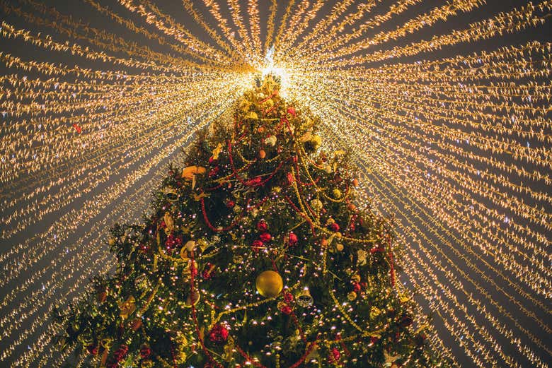Un des sapins de Noël de la foire