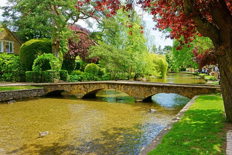 Une rivière paisible
