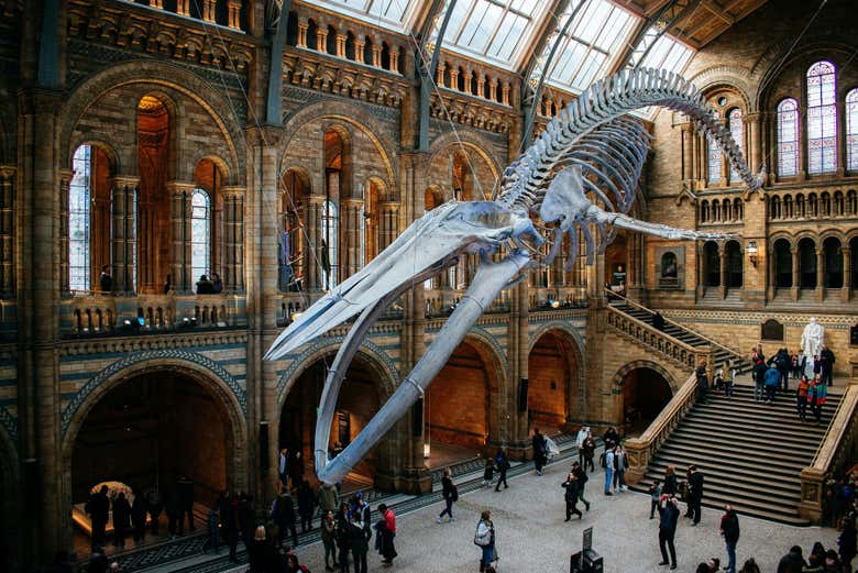 Vous pourrez explorer le musée à votre rythme